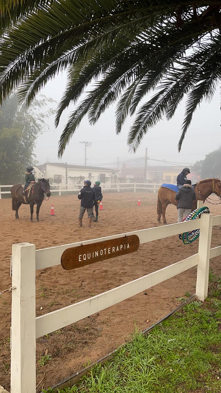 Equinoterapia